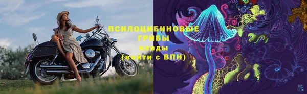амф Алексеевка