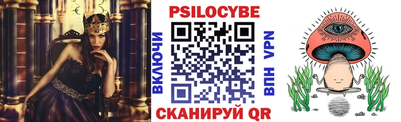 МЕГА как войти  Клин  Псилоцибиновые грибы Cubensis 